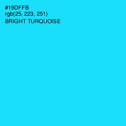 #19DFFB - Bright Turquoise Color Image